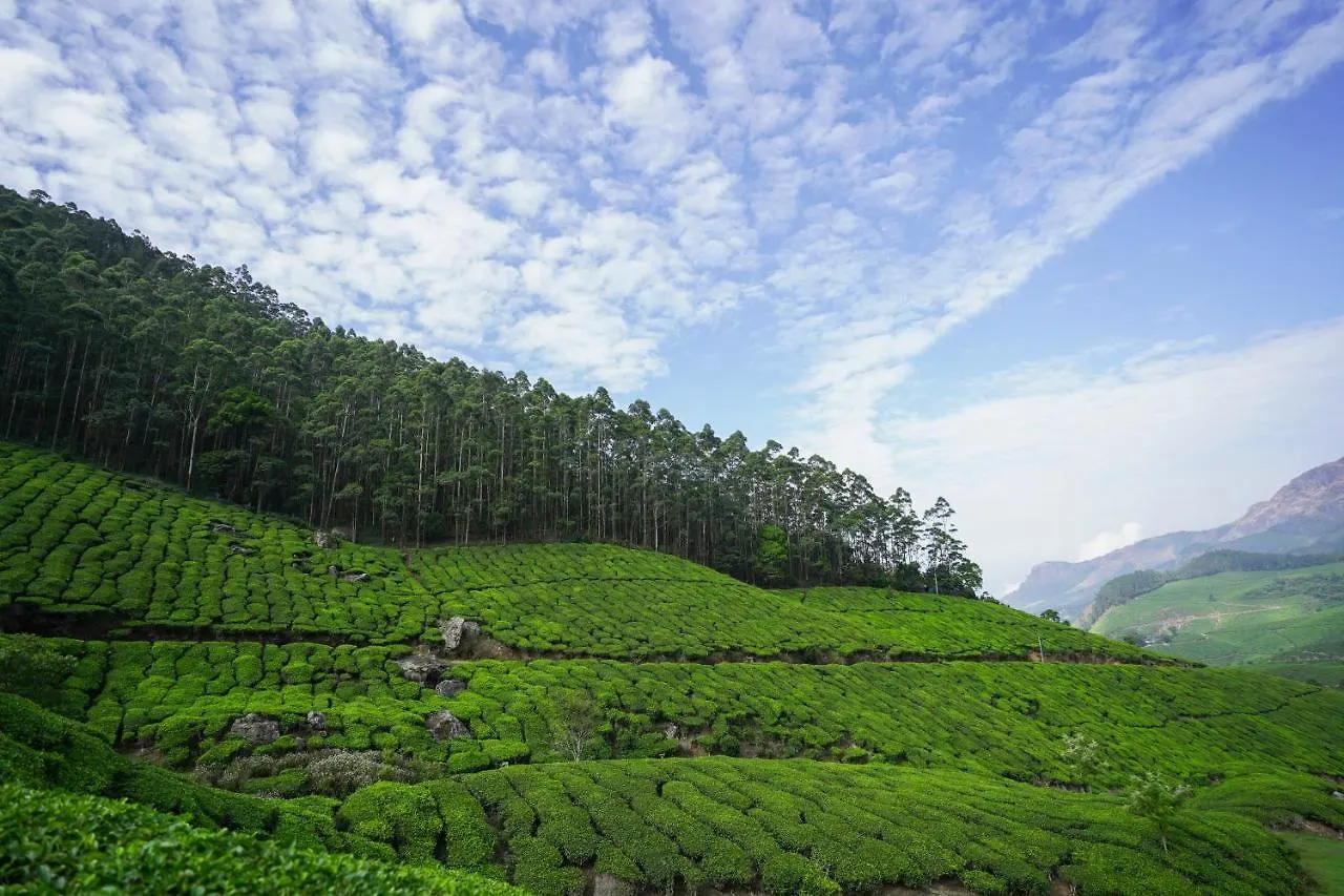 Tea Valley Resort, Munnar