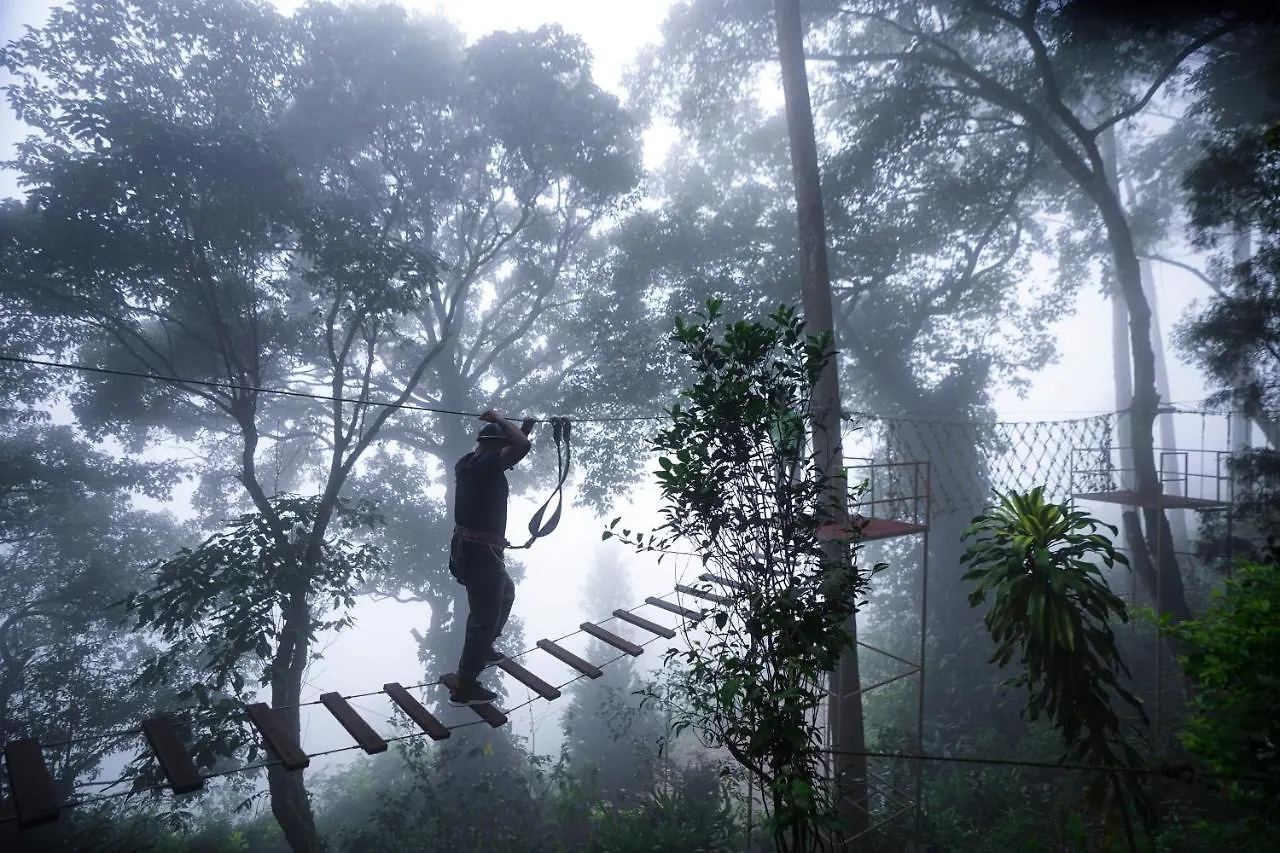 Tea Valley Resort, Munnar