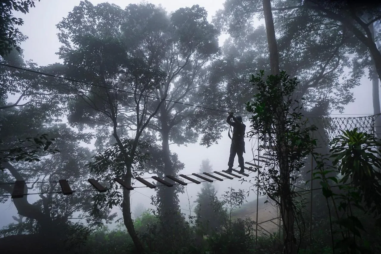 **** Üdülőközpont Tea Valley Resort, Munnar India