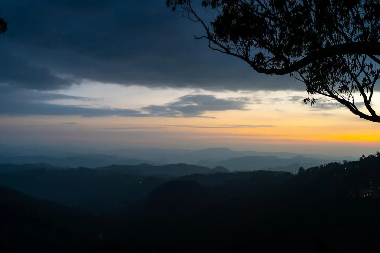 **** Üdülőközpont Tea Valley Resort, Munnar India